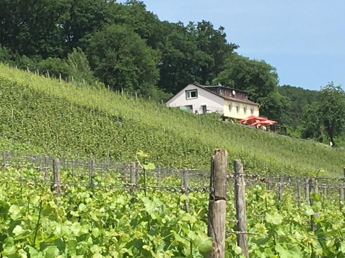 Das Rebenhaus Ruedesheim am Rhein Luaran gambar