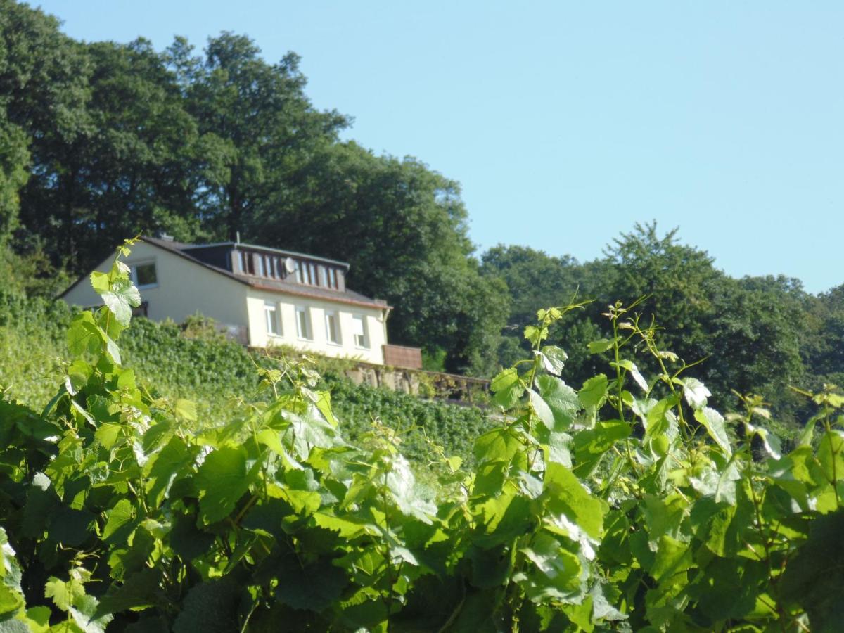 Das Rebenhaus Ruedesheim am Rhein Luaran gambar