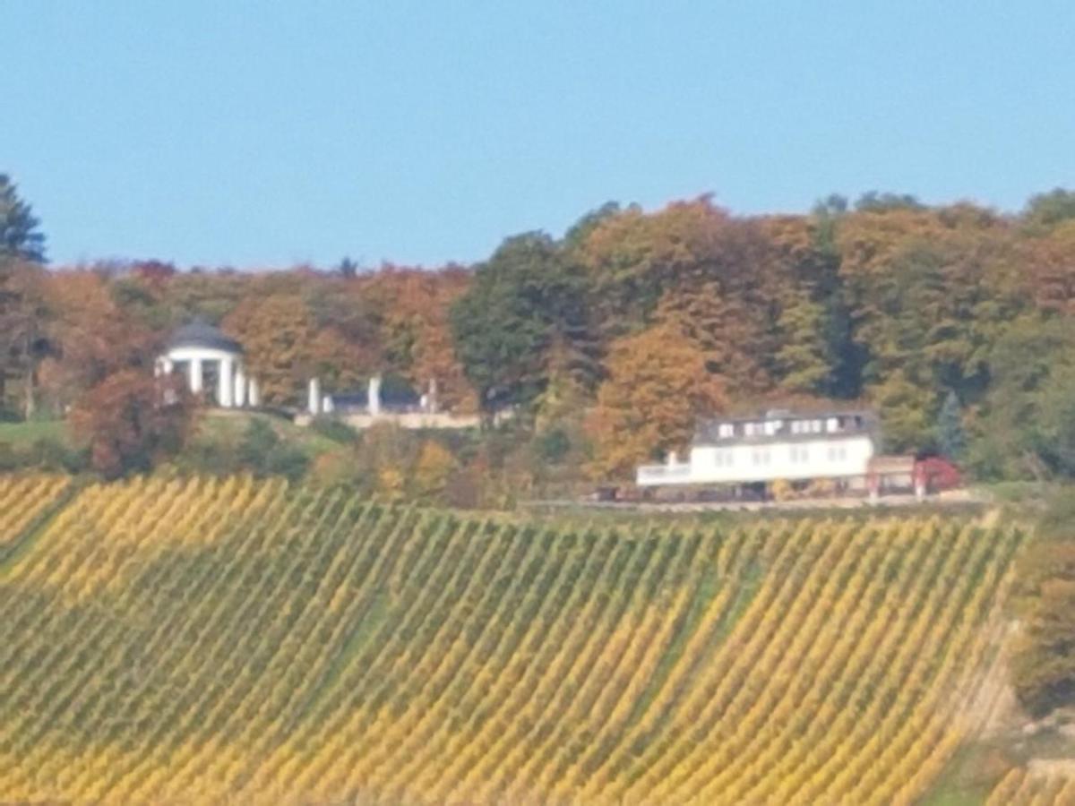 Das Rebenhaus Ruedesheim am Rhein Luaran gambar