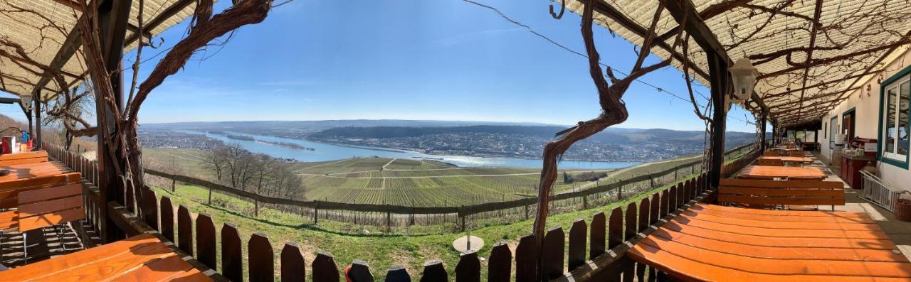Das Rebenhaus Ruedesheim am Rhein Luaran gambar