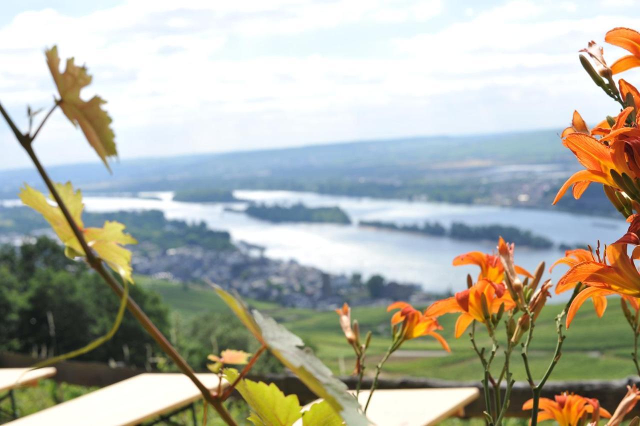 Das Rebenhaus Ruedesheim am Rhein Luaran gambar