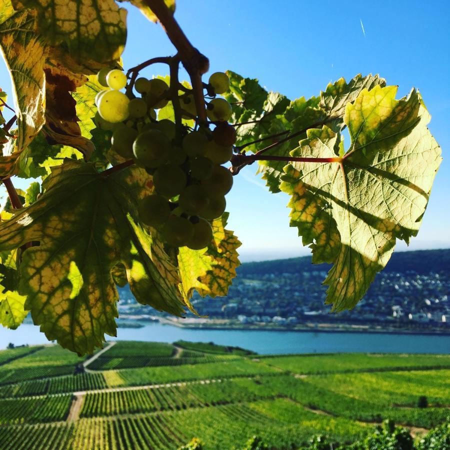 Das Rebenhaus Ruedesheim am Rhein Luaran gambar