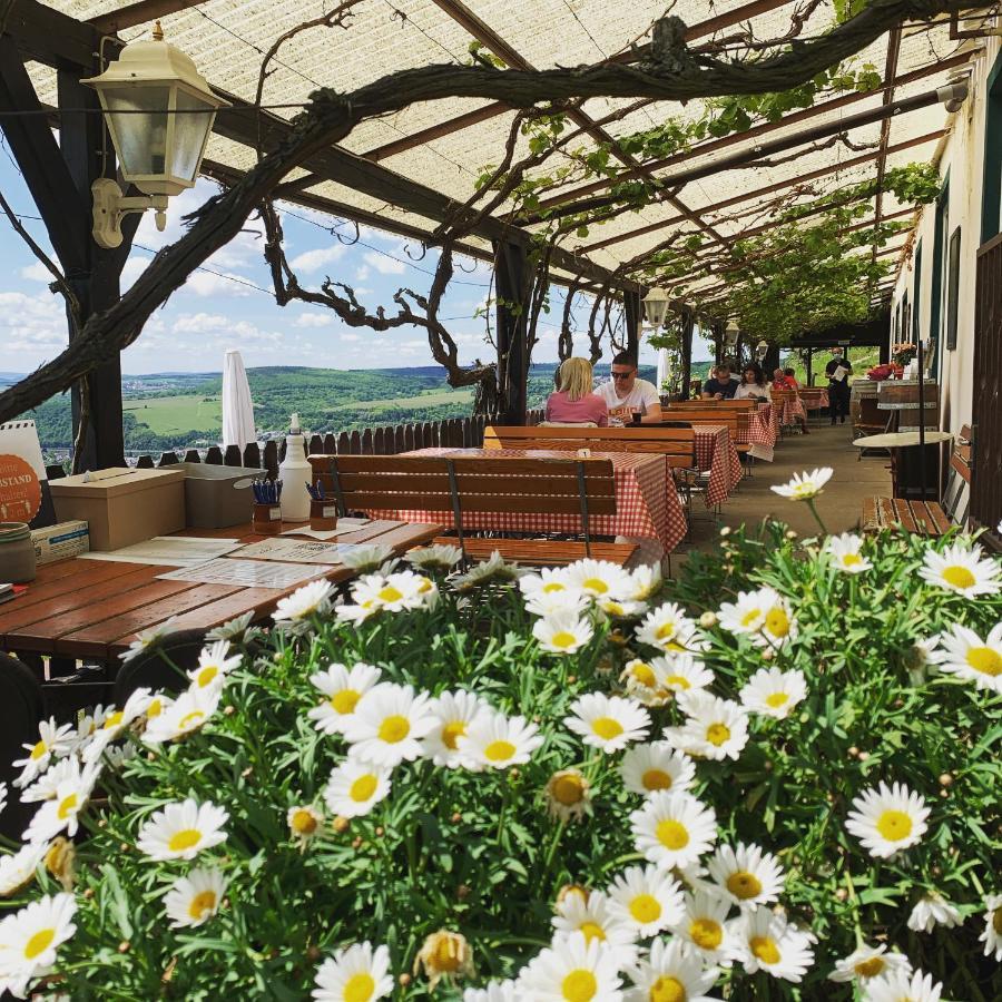 Das Rebenhaus Ruedesheim am Rhein Luaran gambar