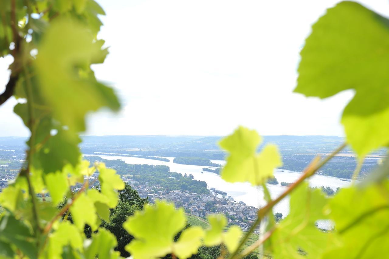 Das Rebenhaus Ruedesheim am Rhein Luaran gambar