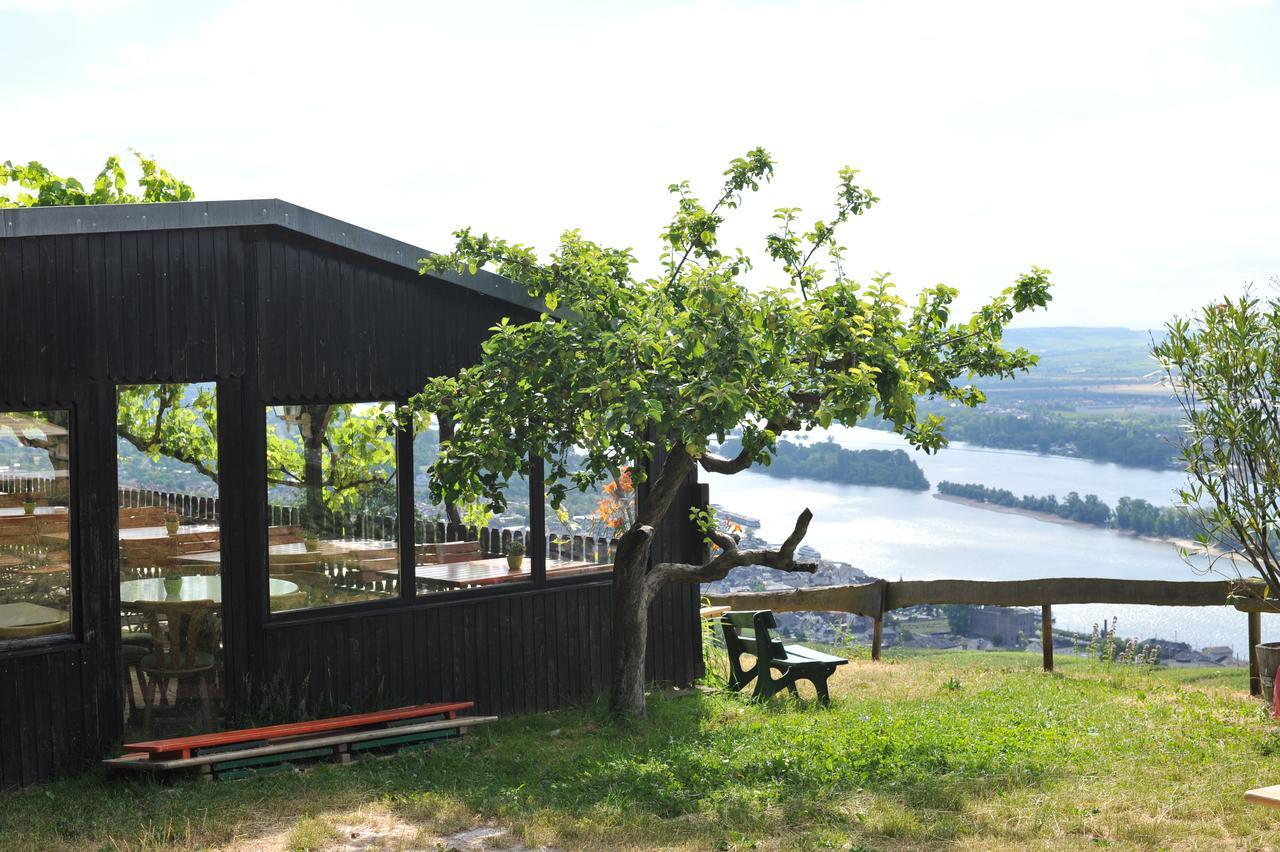 Das Rebenhaus Ruedesheim am Rhein Luaran gambar