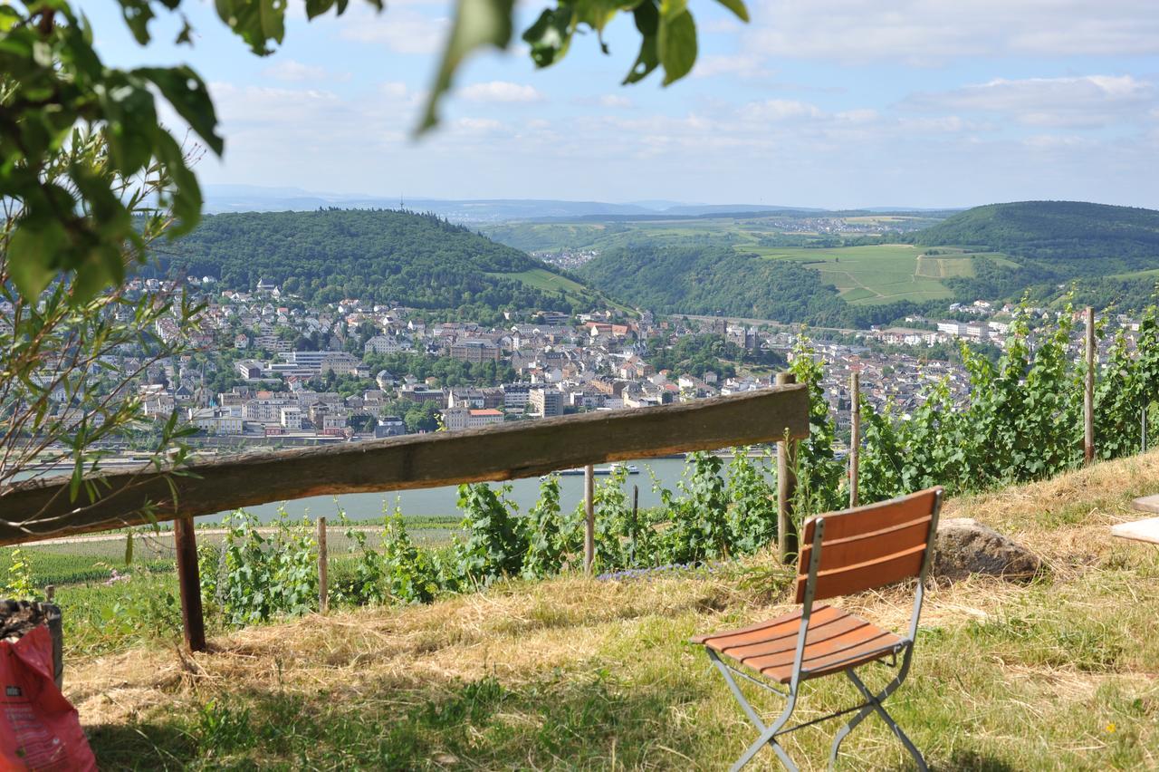 Das Rebenhaus Ruedesheim am Rhein Luaran gambar